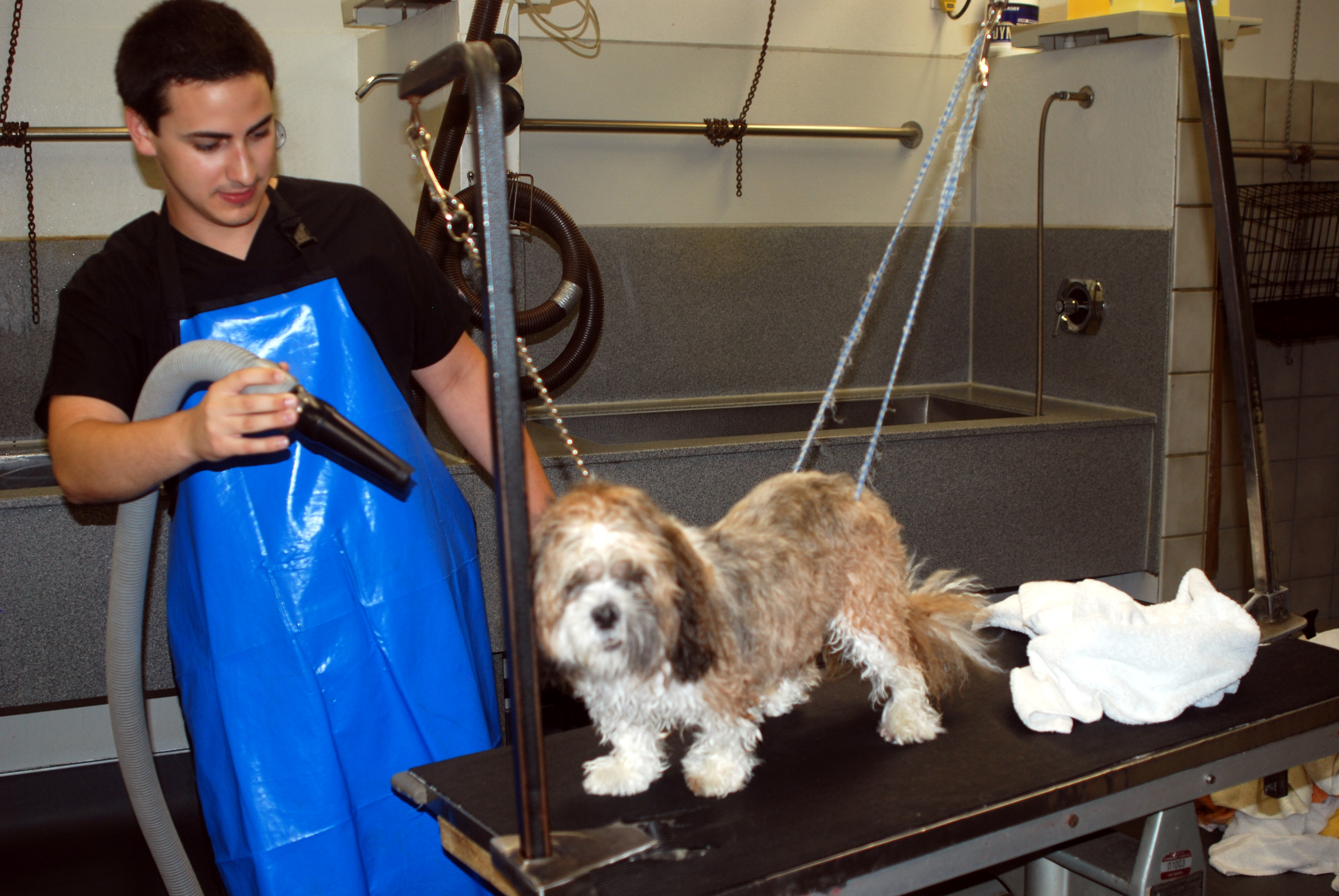 Sunnycrest Animal Care Center Grooming and bathing