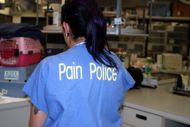 pain control dog cat police