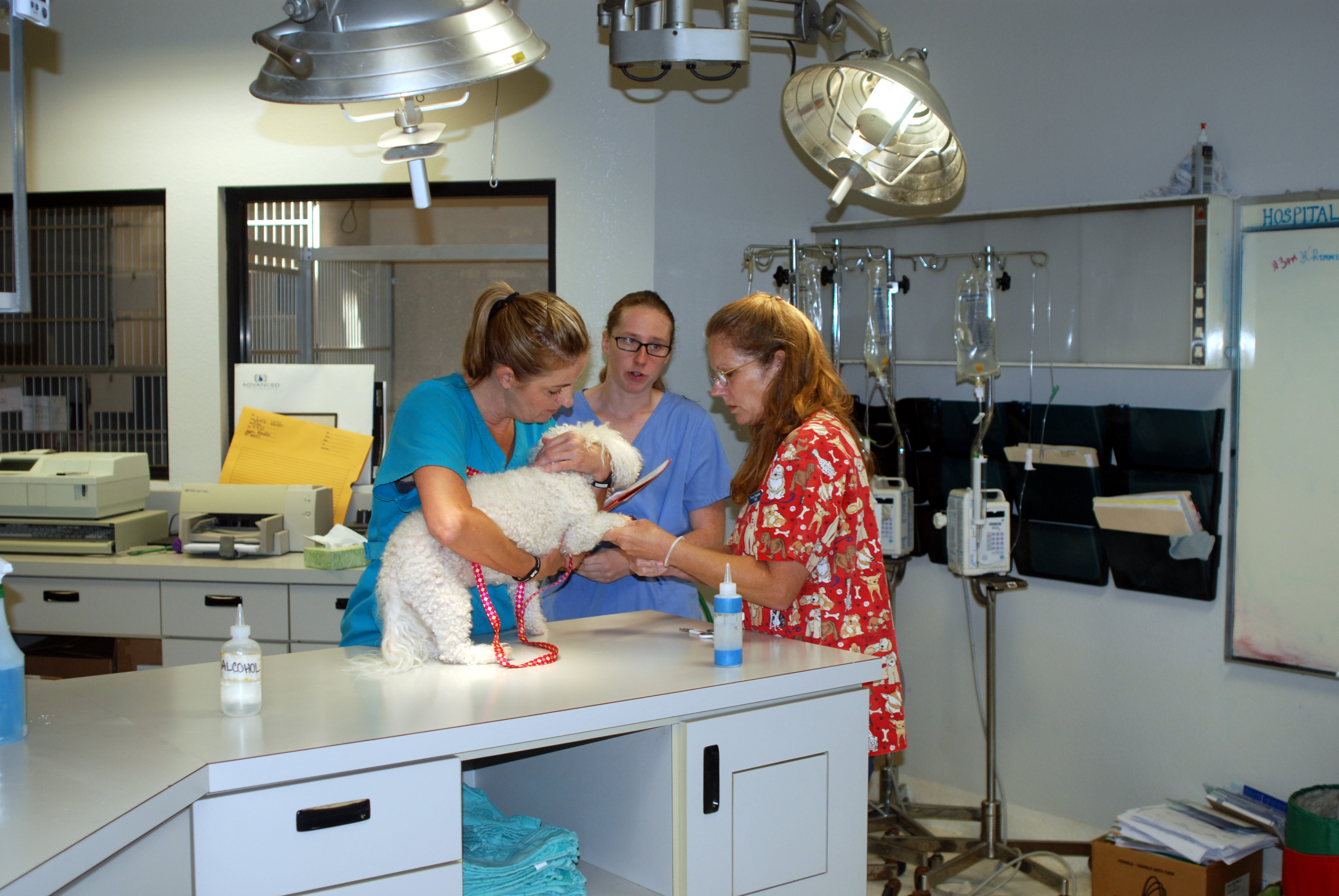 Sunnycrest Animal Care Center Treatment Room