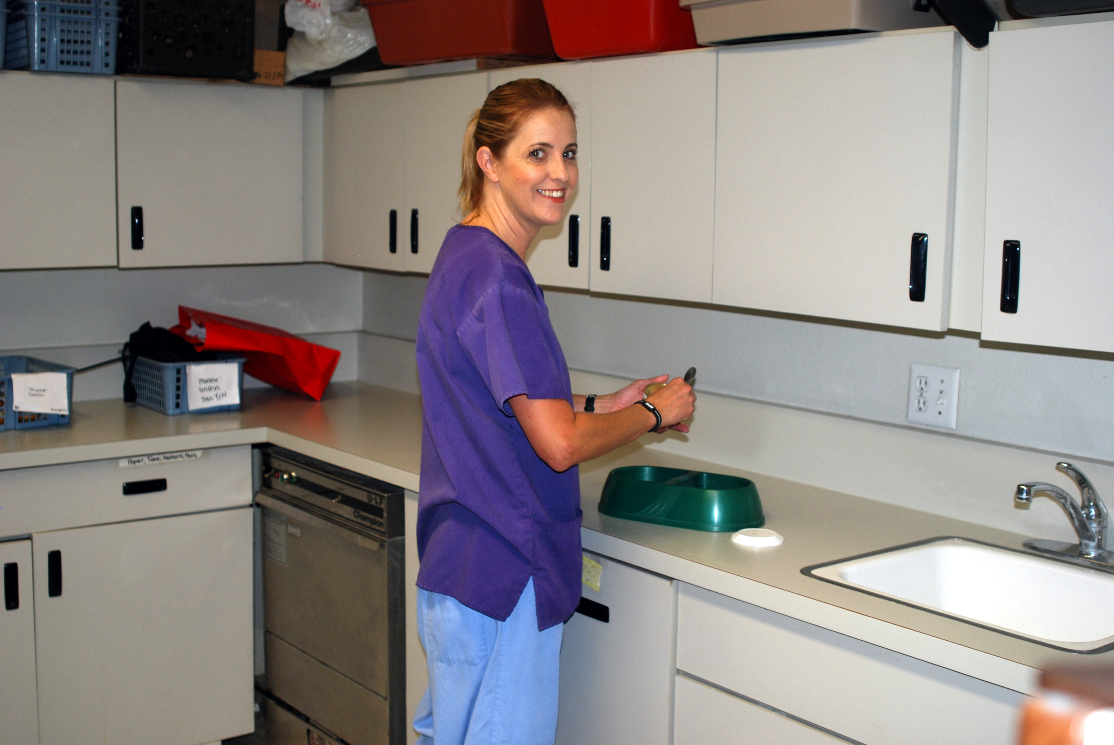 Sunnycrest Animal Care Center Cat Boarding kitchen