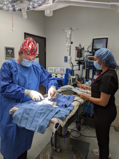 Dr. Cowan doing Surgery