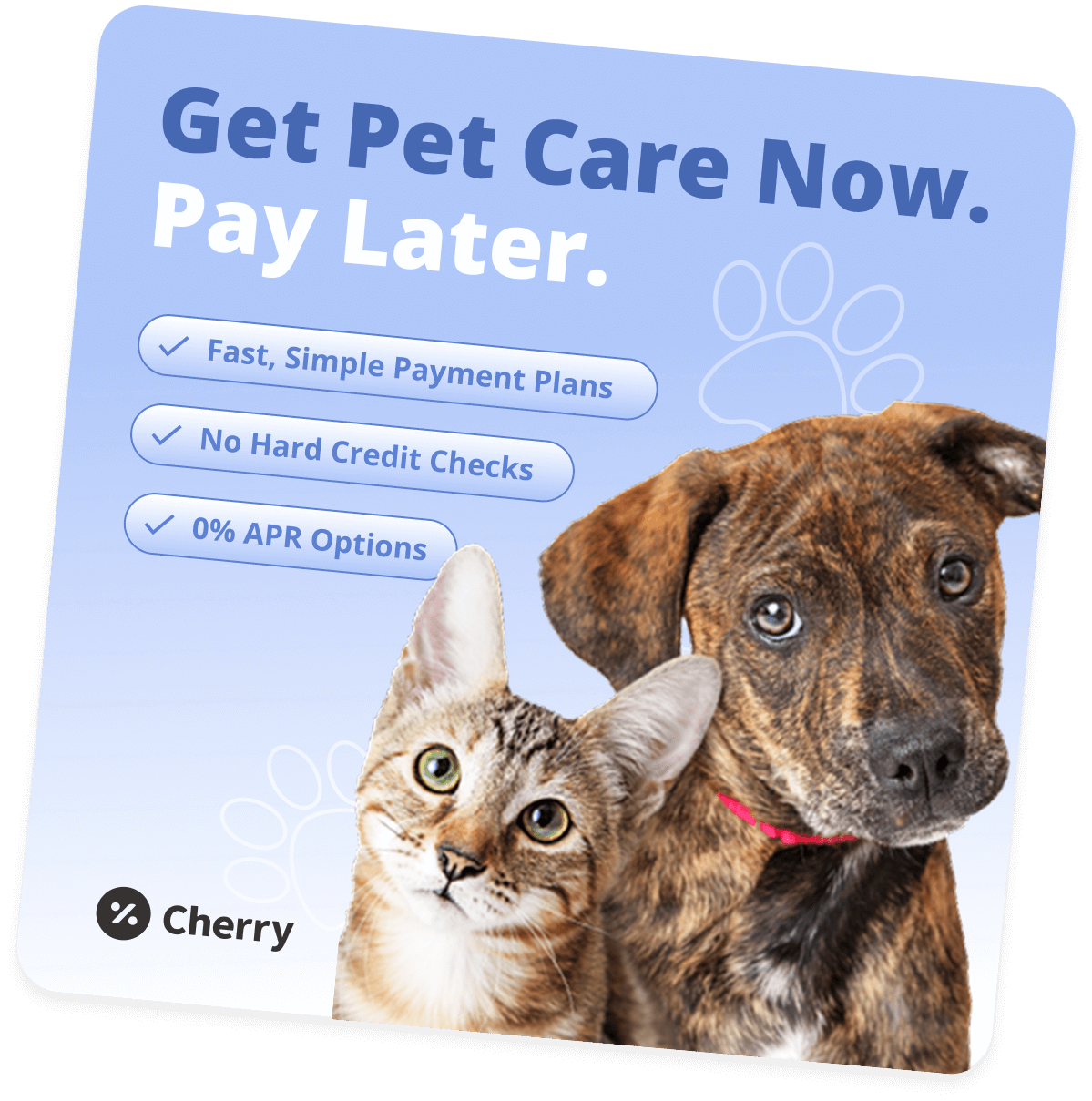 Cherry veterinary payment plans