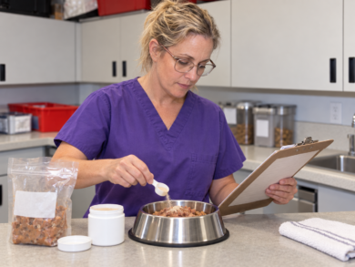 At Mrs. PetLove's Bed and Breakfast Inn we will prepare special meals